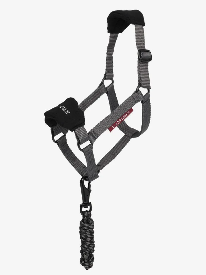 LeMieux Hobby Horse Vogue Headcollar in Black and Graphite